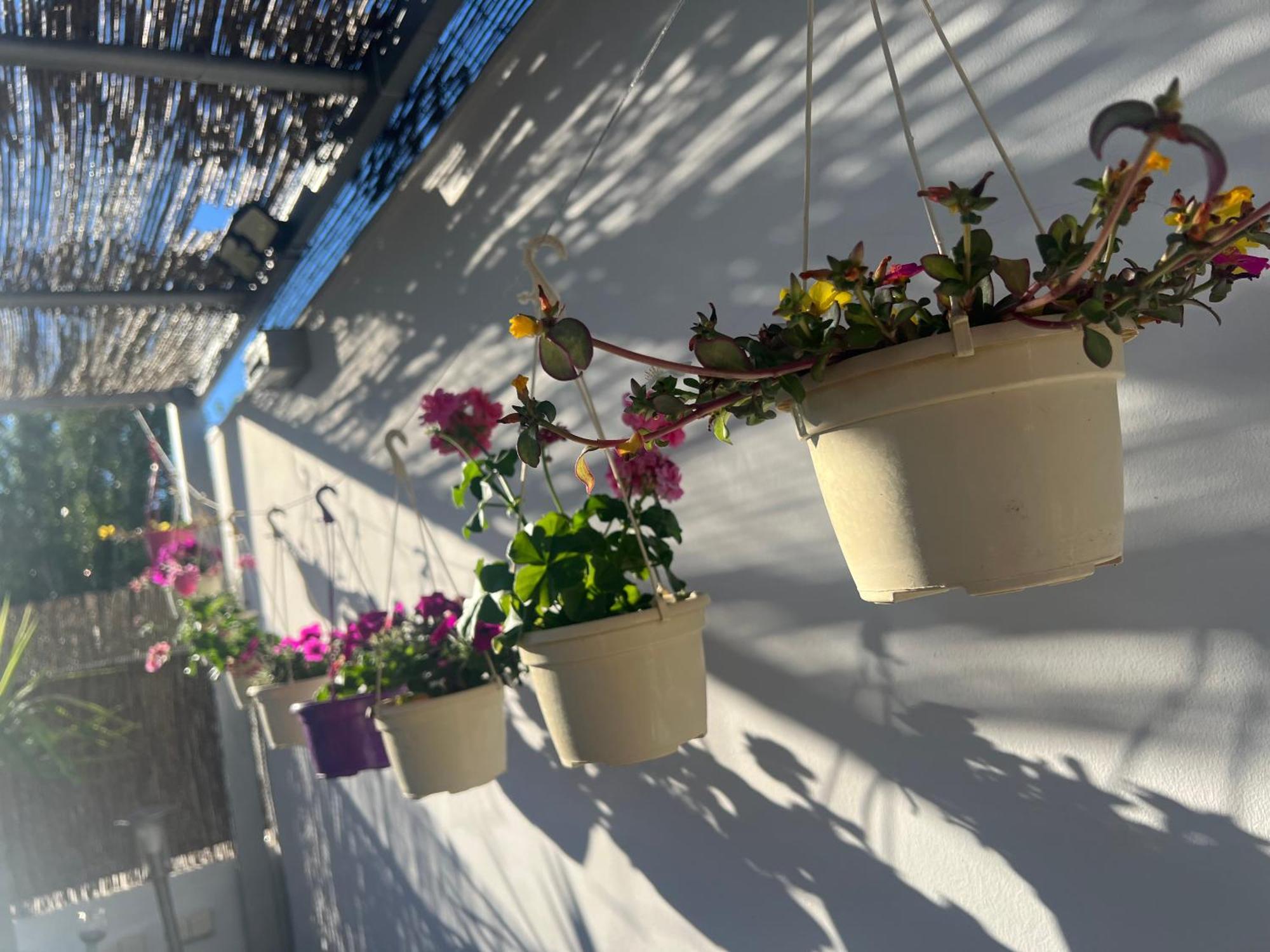 Atico Rilque, Apartamentos Independientes Con Jacuzzi Privado Y Terraza En Ronda Exterior foto
